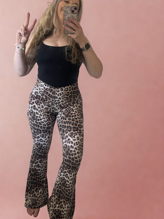 Leopard Disco Flares