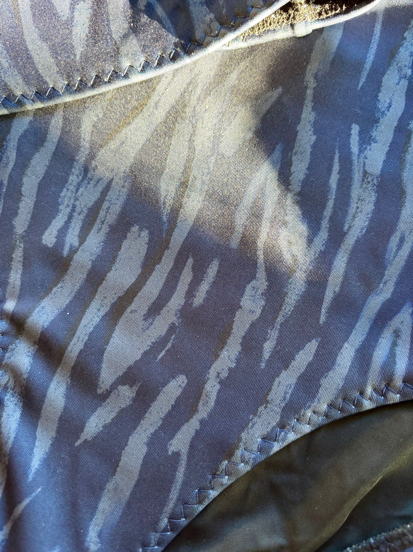 Blue Zebra Bikini - Size 14